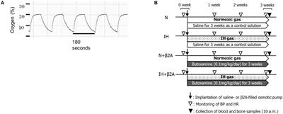 Selective β2-Adrenoceptor Blockade Rescues Mandibular Growth Retardation in Adolescent Rats Exposed to Chronic Intermittent Hypoxia